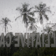 Palm trees are seen through a window of a palliative care ambulance on a rainy day in Kerala, India.